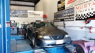 Ford Mustang Gt At Dynotech Tuning