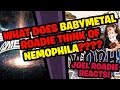 What does a BABYMETAL Roadie think of Nemophila&#39;s メギツネ Megitsune - Roadies React