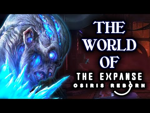 ذا إكسبانس البومة تبدأ في الطبخ