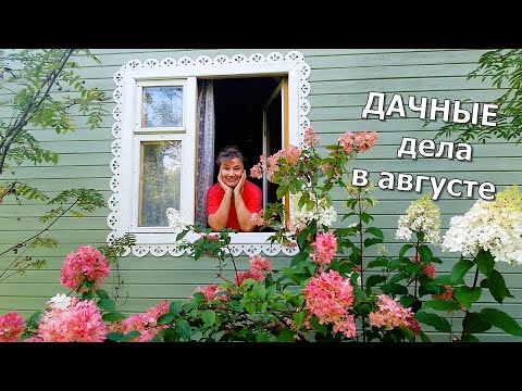 Гости уехали, ждём других.Чищу, мою, стираю. Урожай овощей, яблок, винограда. На ужин снова хачапури