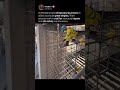 Scaffold Assembly at Industrial Heights 🏗️