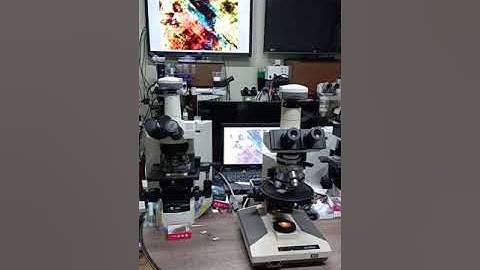 OLYMPUS BH2 POL TRINOCULAR MICROSCOPE