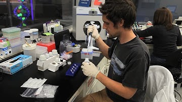 Sequencing Ant DNA -- Australia Video Report #2