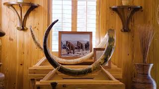Inside TPepin’s: Virtual Experience