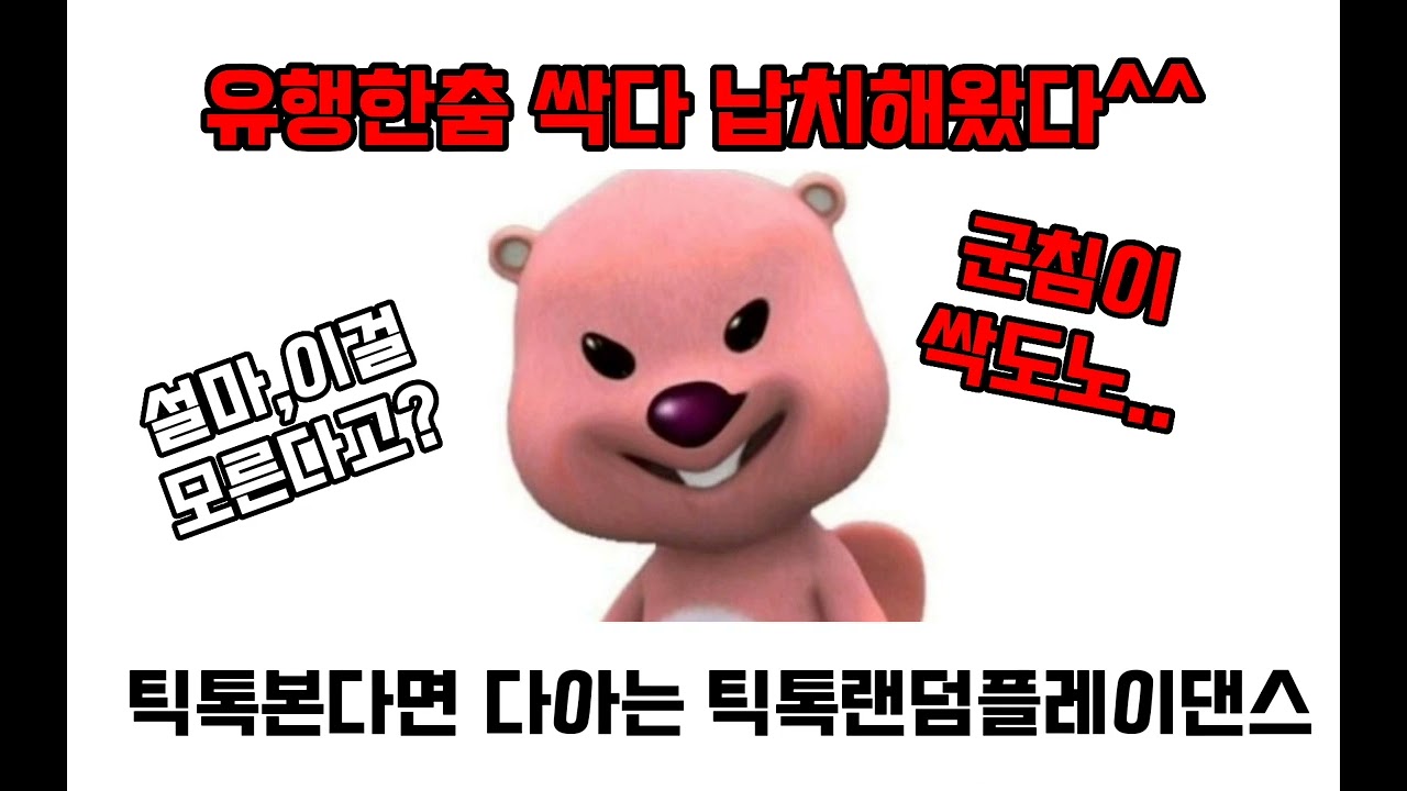 틱톡 랜덤 플레이 댄스