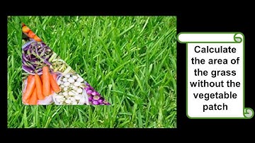 Area of Triangles; Right Angle Triangles; Practice Problem 5 | Math Problems | Trigonometry