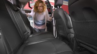 Disinfect Your Vehicle with a Ziebart Interior Detailing