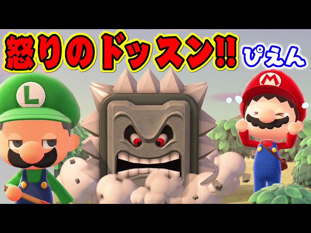 あつまれ どうぶつの森 &マリオ あつ森内で
