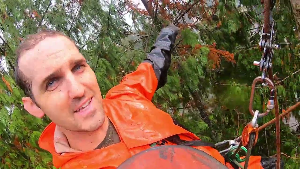 Лазание и рубка деревьев под проливным дождем!