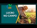O segredo para o pequeno produtor do campo lucrar de verdade