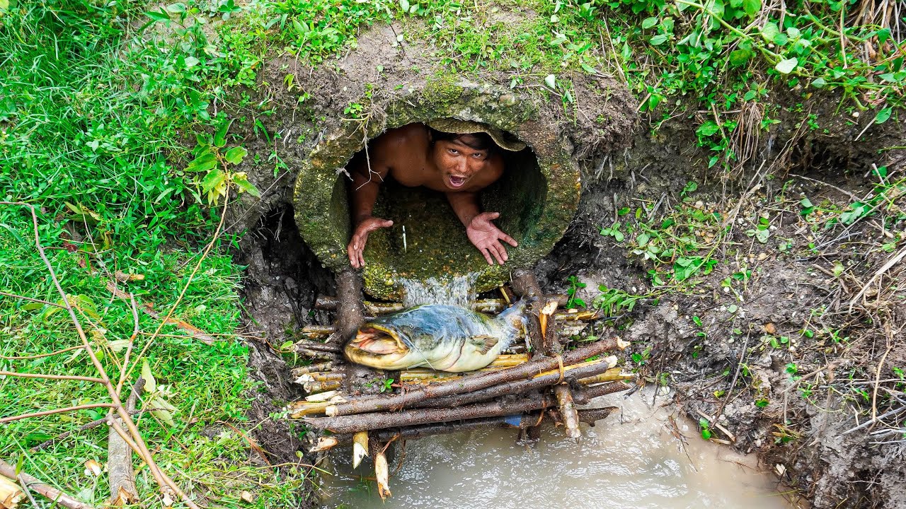 Survival In The Forest - Making A Fish Trap In A Big Hole With 500X ...
