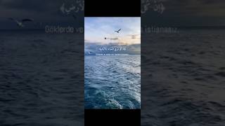 Meryem Suresi 93-94. Ayetler - Abdul Rahman Mossad #kuran #keşfet