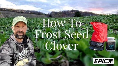 Frost Seeding Clover Explained