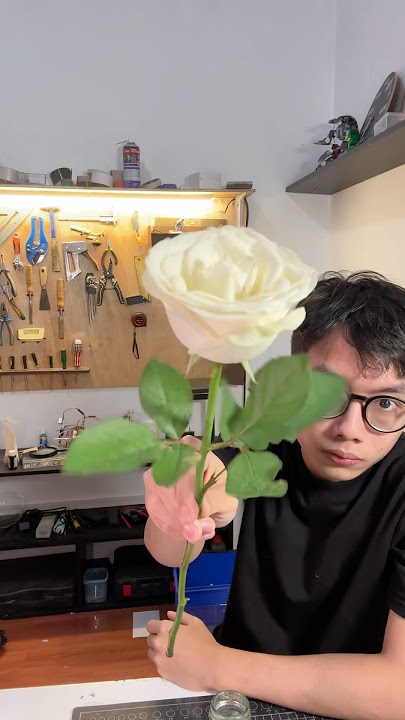 How to Change the Color of White Roses to Other Colors