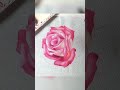 ROSA REALISTA PINTANDO TOALHAS COM ROBERTA MOREIRA