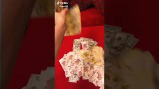 Pulun Musiqisidə Ləzət Eliyir.