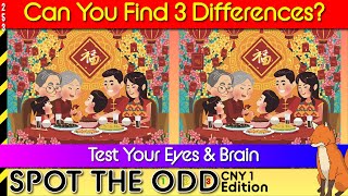 Find the Differences | CHINESE NEW YEAR 1 | Brain Break | Game 253 screenshot 2