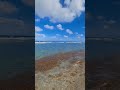chilling on the beach #miami #southflorida #Florida #springbreak2023 #springbreak #ocean #waves