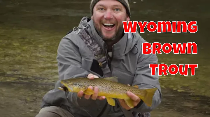 Big Horn Fly Fishing | Wyoming