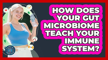 How Does Your Gut Microbiome Teach Your Immune System? - All About the Immune System