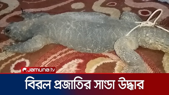 Kozok kiygan qiz onanizm qiladi