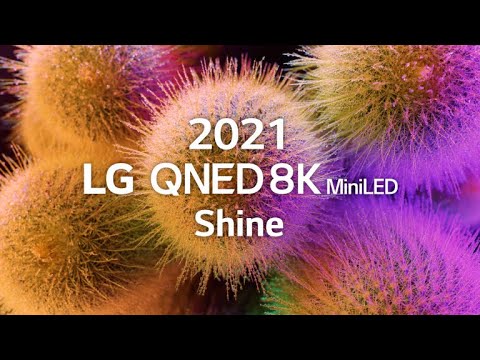  LG QNED 8K MiniLED │Shine 8K HDR 60fps