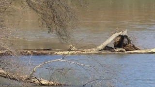 Environmental Groups React to EPA Clampdown