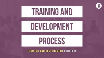 Training and Development Process