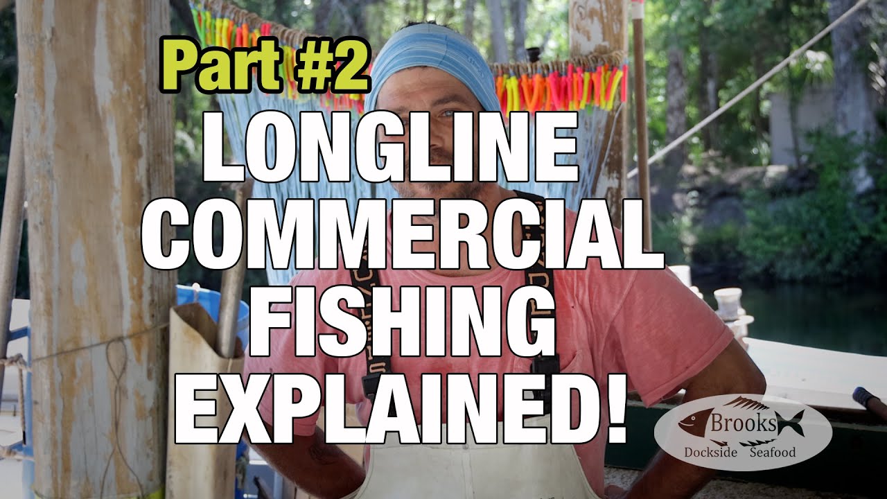Brooks Dockside Seafood Longline Commercial Fishing Explained! Part 2