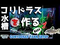 コリドラスレイアウト水槽を作る/アクアリウム Corydoras Tank SetUP 立ち上げ