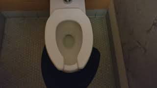 2005 Kohler Stratton toilet @officialjohntoilet
