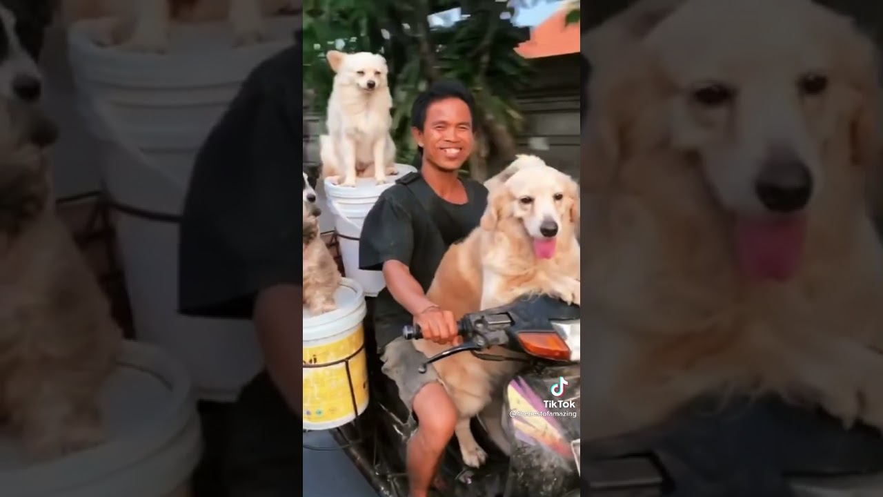 Хендай это кореец Хендай это кореец