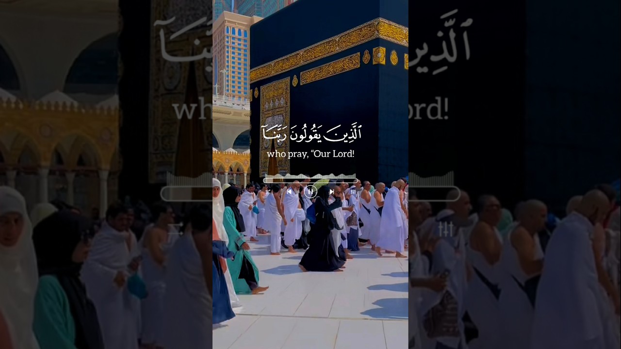 Quran Kareem | Quran Translation | Quran Recitation 