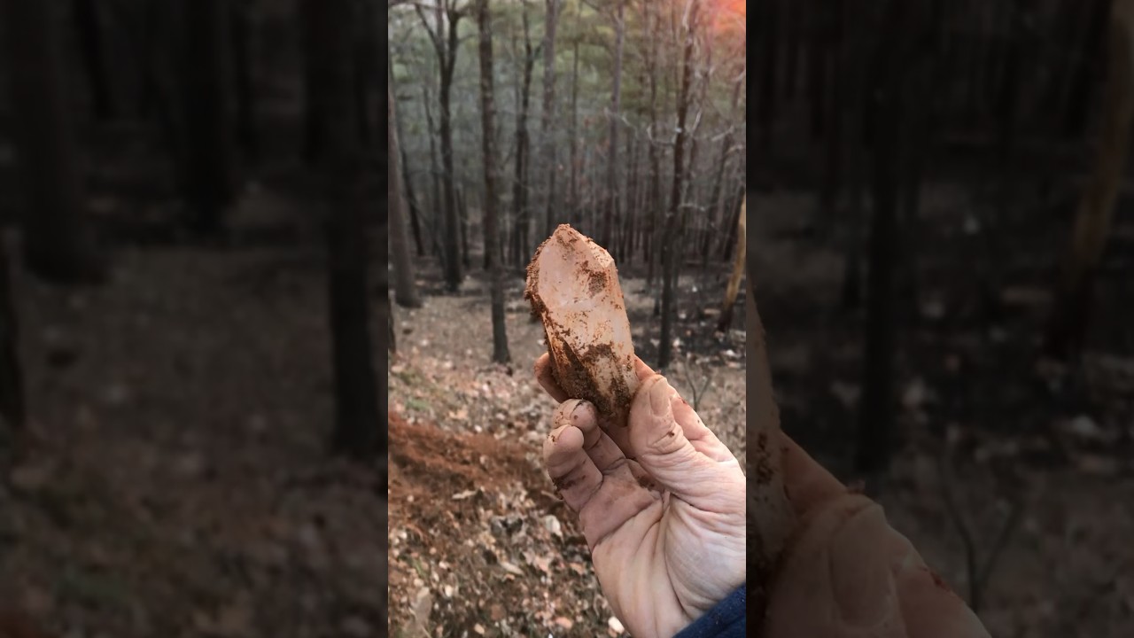 Large Quartz CRYSTAL Discovery! 
