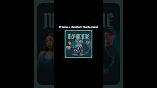 Mr Brown X Shebeshxt X Shapha Memie lekompo shebeshxt limpopo mrbrownreacts