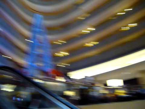 camera iphone 8 plus apk Dragon Con 2009 noon