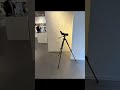 Leica Rome!!!!