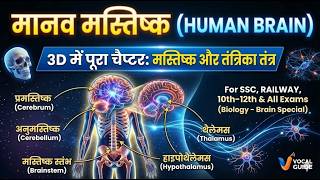 मानव मस्तिष्क (Human Brain) 3D Infographic Notes | Biology for SSC, Railway, 10th-12th &amp; All Exam