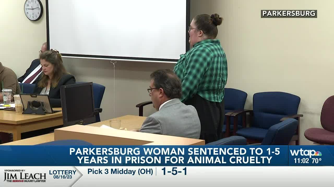 Parkersburg woman sentenced to 1-5 years in prison for animal cruelty ...