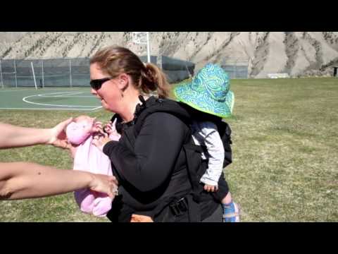 twingo panel extenders