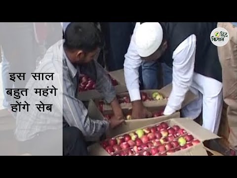 वीडियो: "एपोर्ट" किस्म के सेब का स्वाद क्या है