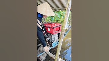 Quay máy dầu bắt cá mùa nước nổi #xuhuong