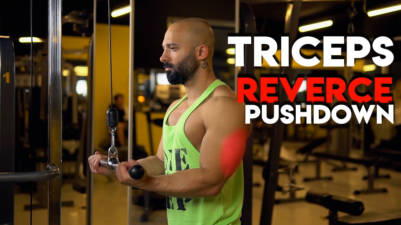 En Iyi Arka Kol Hareketleri Videolu Anlatim Fitness Dergisi En Iyi Arka Kol Hareketleri Videolu Anlatim Fitness Dergisi