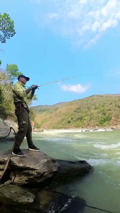 Caña de pesca Wonder para Pesca deportiva en Colombia