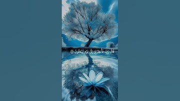 قال يا إبليس #ايمان #خشوع #طاعه #راحه نفسيه# قرآن كريم ❤️