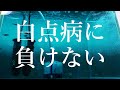 白点病に負けてたまるか