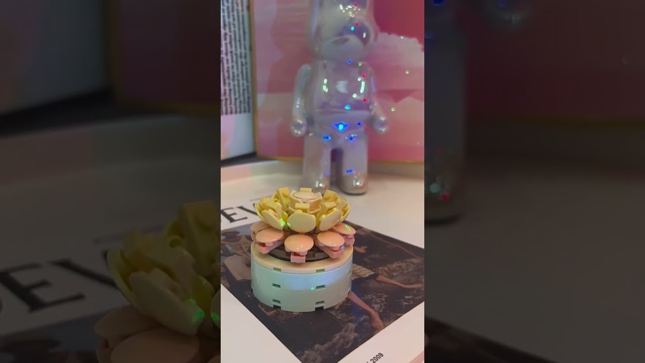 Diy succulent plant gift idea 