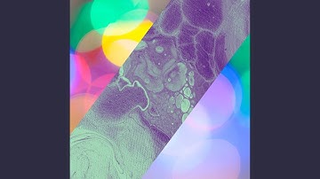 Astounding Music for Lazy Blues