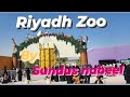 Riyadh zoo  saudi  sundus nabeel