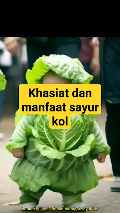 #khasiat dan manfaat sayur kol#shorts#